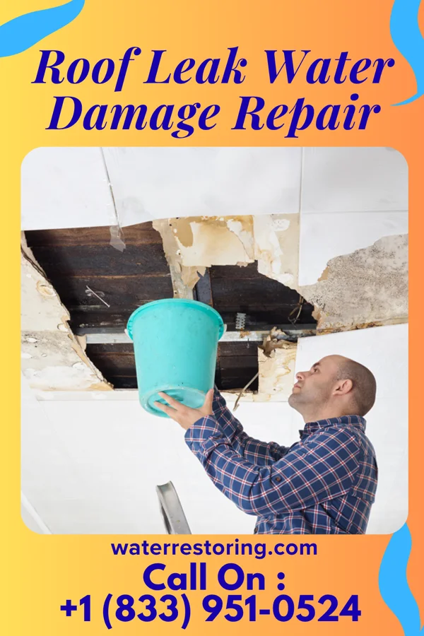 Roof Leak Water Damage Repair in Wellman, IA